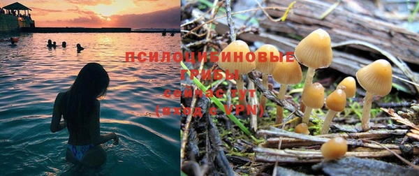 спайс Арсеньев
