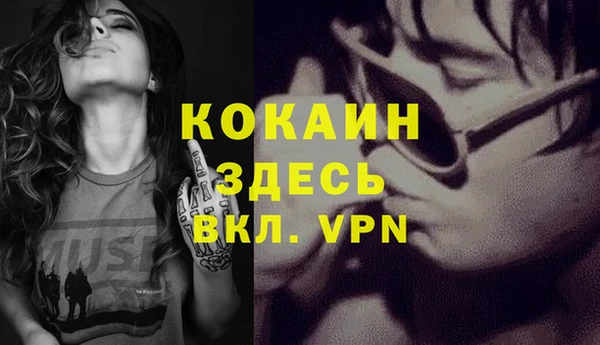спайс Арсеньев