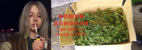 спайс Арсеньев