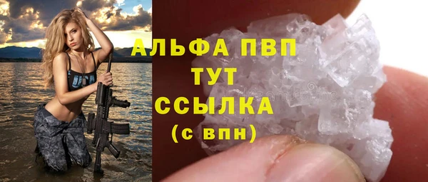 спайс Арсеньев
