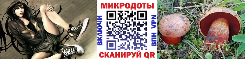 Галлюциногенные грибы Psilocybine cubensis OMG ссылка Нея